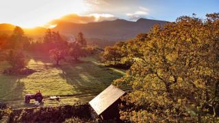 Little Meadow Retreat - 7
