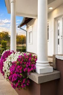Royal Vila Negotin - Private Parking, Garden and Terrace - 7
