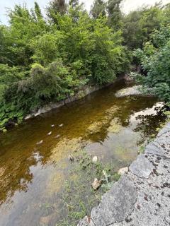 Salmon Weir Lodge - 3
