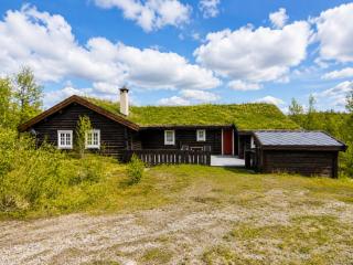 Large, cozy, and spacious cabin in Geilo, Kikut - 0
