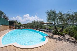 Oliveta Pettirosso - 9