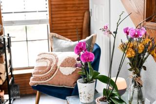 The Nest - 1