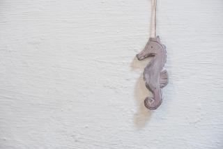 Seahorse Cottage - 9