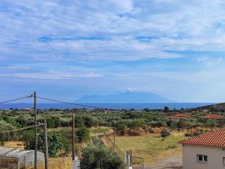 The Olive House - 5