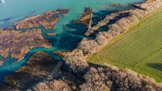 Pinkmead Estate and Vineyard - 9