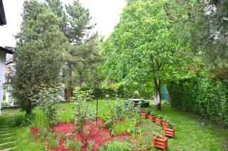 Danube Zen House Novi Sad - 5