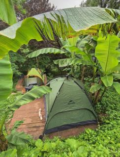 Forest & Sea Campsite - 9