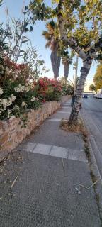 Eclectic 104 sqm Home,3' to the beach 15' to Old Port - 8