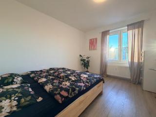 Two-bedroom apartment in the city center - 1