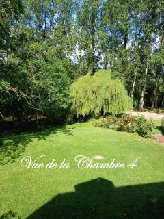Le Manoir du Tertre - 6
