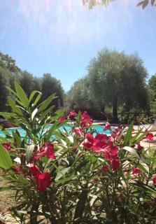 Agriturismo Podere Luchiano - 2