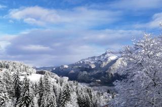 Rayon des Aravis - 3