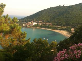 sea view apartment in tarco n40 - 1