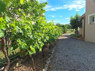 Gîte proche de Nîmes - 5