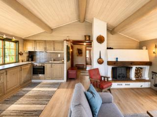 Briskebu, cosy cabin by ski slopes - 9
