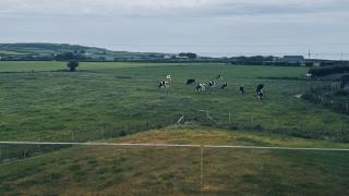 Causeway Coast Lookout - 8