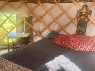 Adorable Yurt Glamping Bantry - 2