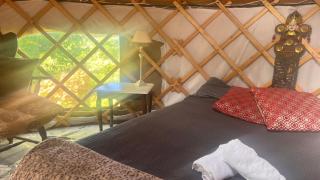 Adorable Yurt Glamping Bantry - 1