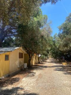 Camping Dell'Uva - 4