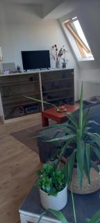 Apartman Suncica - 7