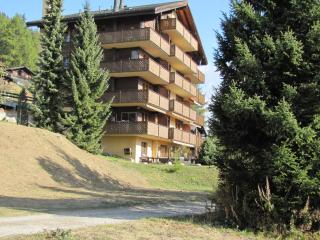 Superb apartment with views of the Alps - Bellwald - 8
