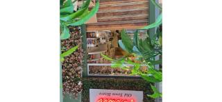 Modern Athens Apartment with Large Private Balcony and Free Parking - 9