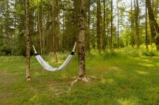 Stonebridge Hideaway - Enchanting 3 Bedroom Cabin - 2