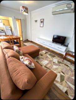 Cozy 2BR Apt - Hotel Style & Spotless furnished - 0