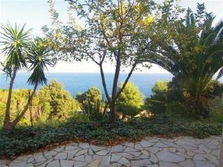 Apartment in Southern Corsica 36 Tarco - 3