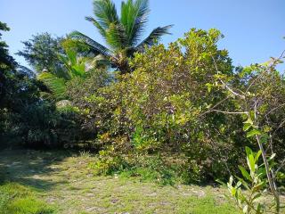 Eco Glamping Caraiva - Caraíva - 3