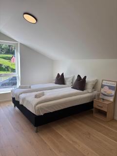 Lake & mountain views - Luxury penthouse - Free parking - 7
