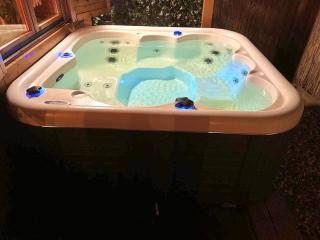 Rustic Western Ranch House with private garden and jacuzzi between Amsterdam Haarlem and Schiphol Airport - 5