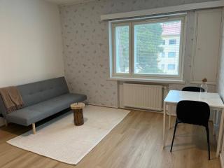 Spacious one room apartment - 0