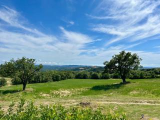 Agriturismo Il Meriggio a 12 minuti dalle Terme di Saturnia - 1