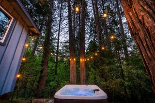 Sequoia Meadows Fire Pit + Hot Tub + AC - 7