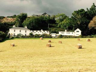 Beautiful private West Cork estate for 1-30 people - 2
