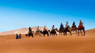 Royal Sands Luxury Camp - 0