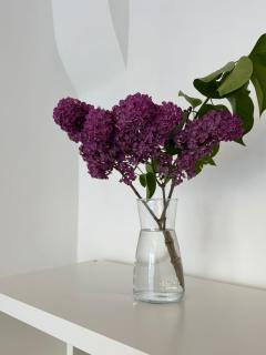 Nordic Nest Apartment - 1