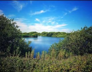 Cabin Sleeps 6 with pets - 6