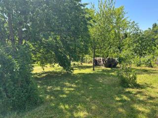 La Maison en Couleurs, village calme, jardin agréable, proche de Loire - 4