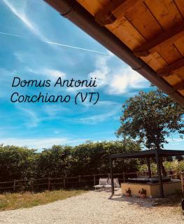 Domus Antonii - 9