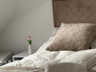 1 BDR - Apartment Shine, in Vienna's City Venter - 0