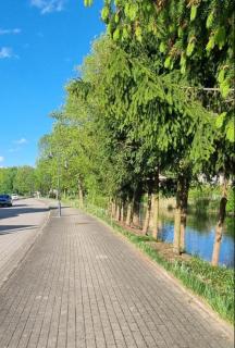 Zacisze nad kanałem Augustowskim - 3