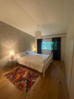 Imatra Saimaa Family Grand Villa - 4