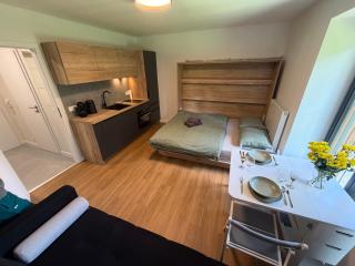 AVA apartmán Javorná na Šumavě - 0