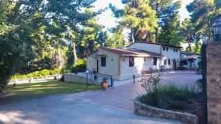 Sani Traditional Forest Villa - 4