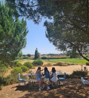 Modern Farmhouse AYO South of Melides - 9