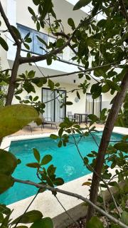 Oasis tropical - 9
