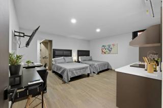 Loft Moderno con 2 Queen Beds Zona Tec - 9