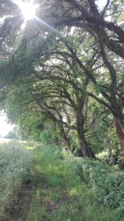 Agriturismo Le Terre d'Abruzzo Country House - 3